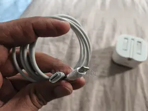 iPhone Charger (Original)