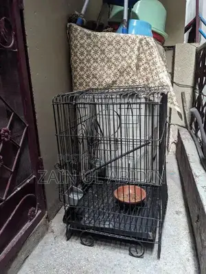 Photo - raw parrot cage for sale