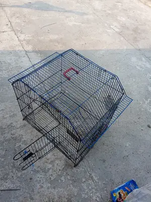 Birds Cage