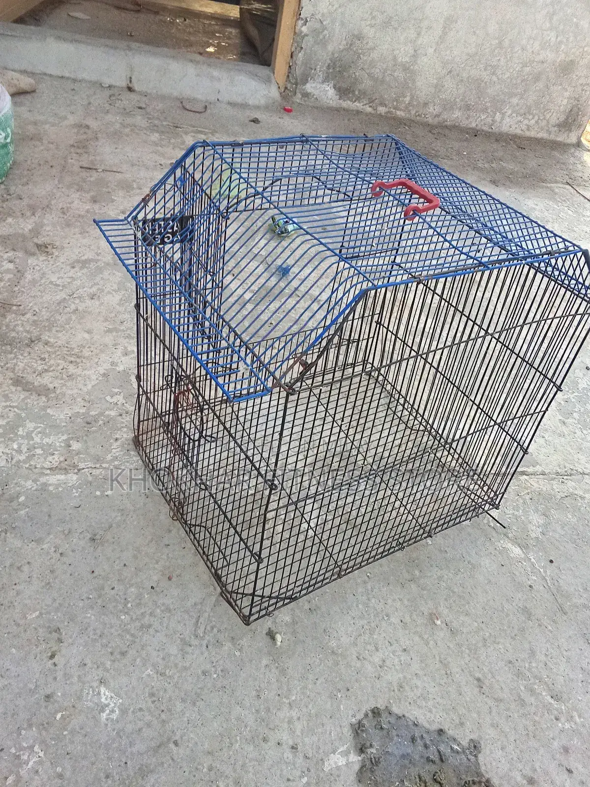 Birds Cage