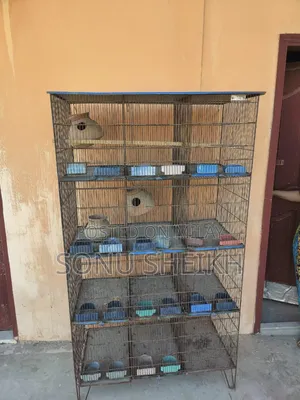 Photo - Birds Cage 12 Box