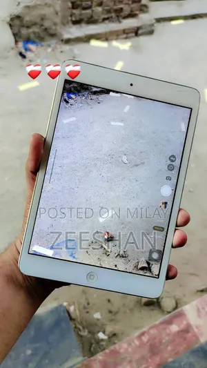 Apple iPad mini 2 32 GB Gray