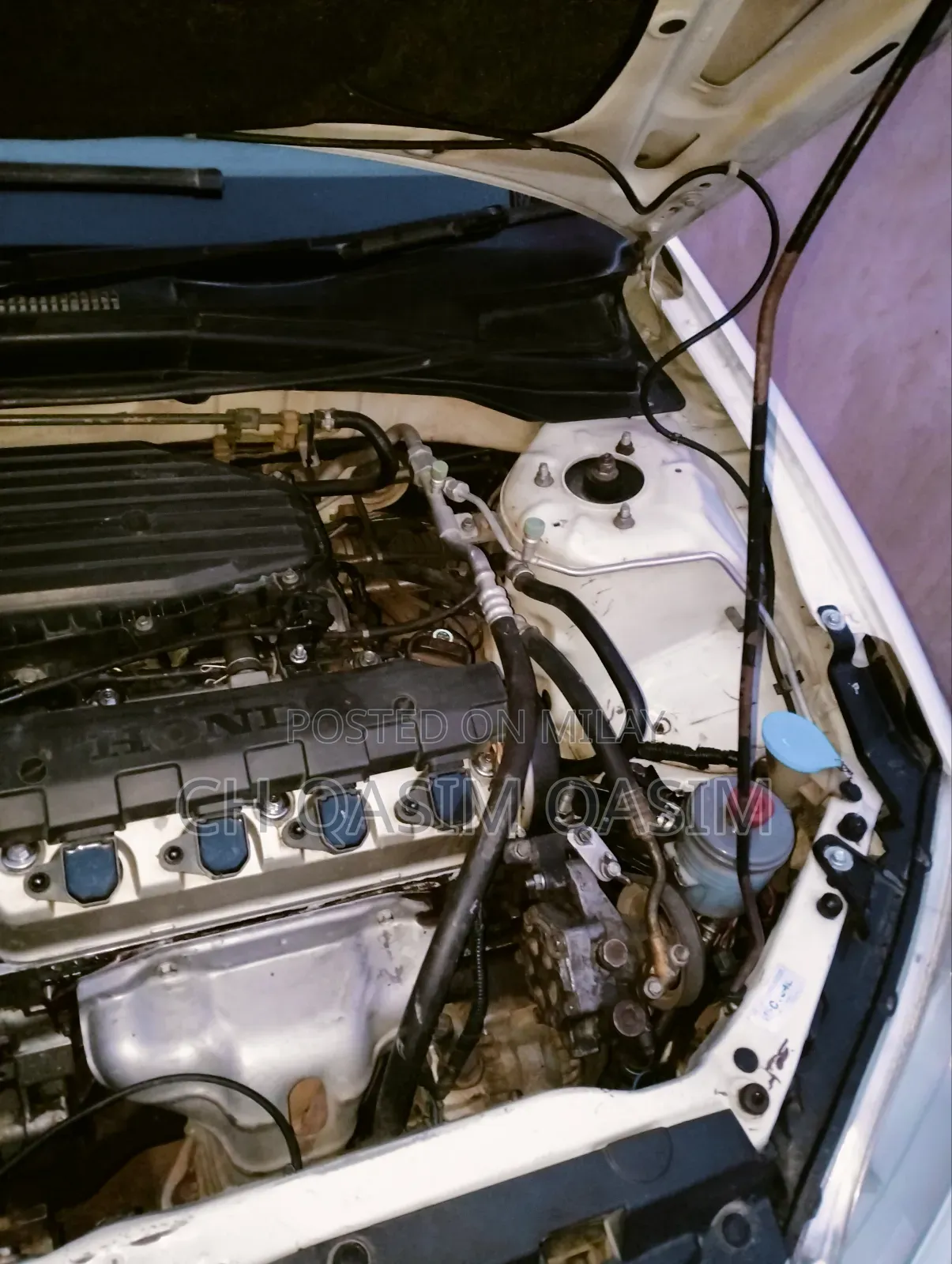 Honda Civic 2006 White