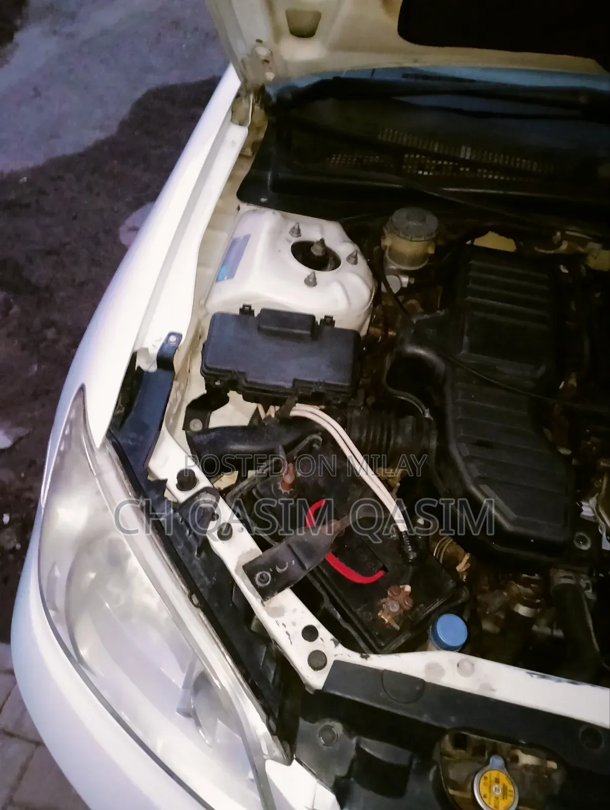 Honda Civic 2006 White