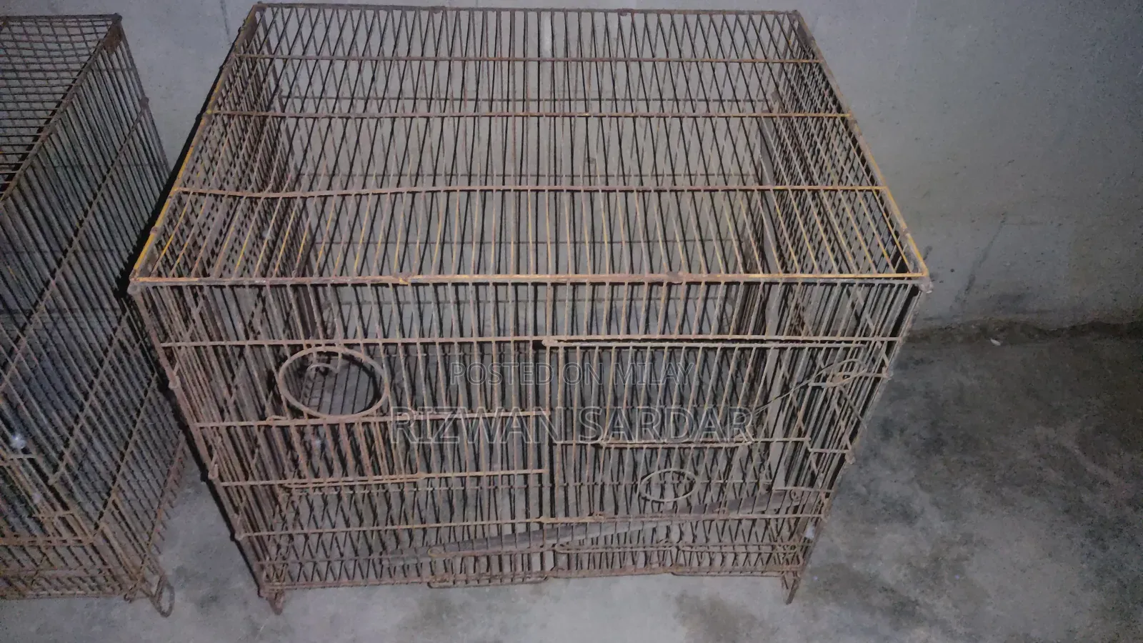 Birds Cages