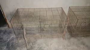 Birds Cages