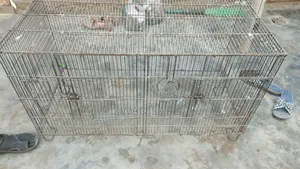 Birds Cages