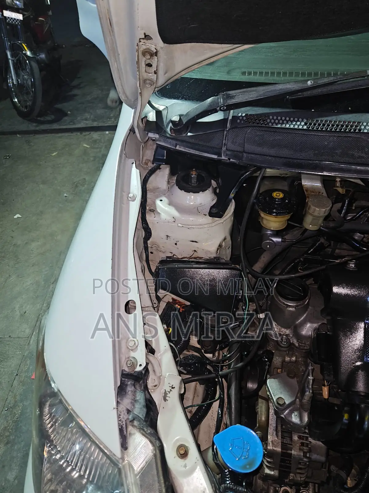 Honda City 2005 White