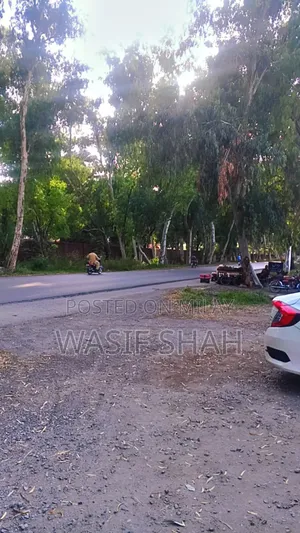 Photo - Beautiful Plots for Sale