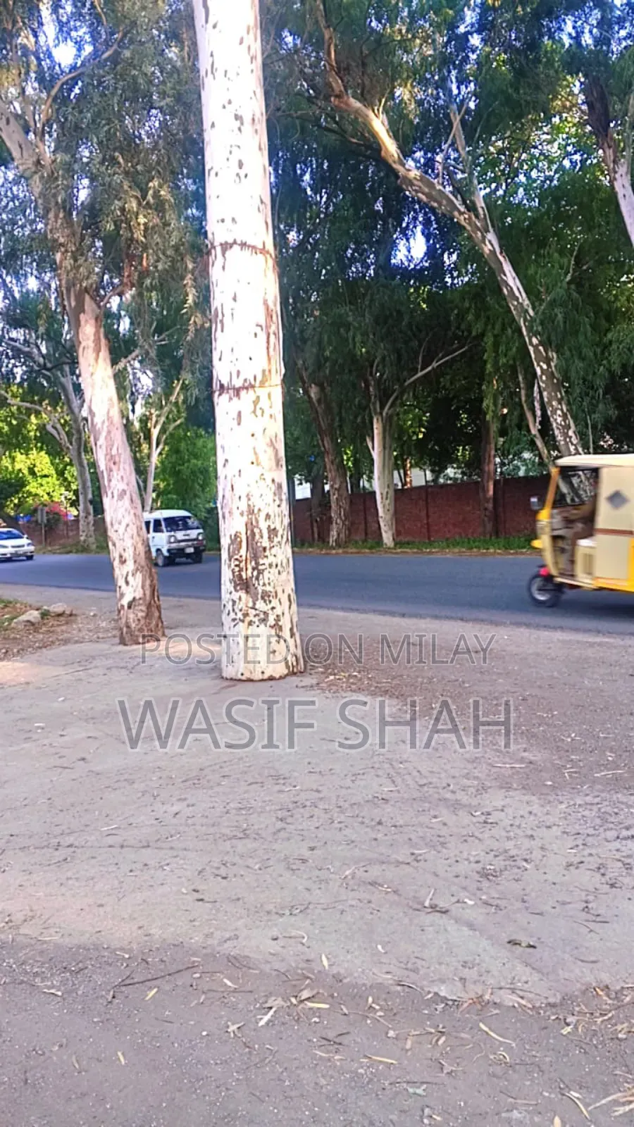 Beautiful Plots for Sale