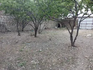 22 Marla Plot for Sale