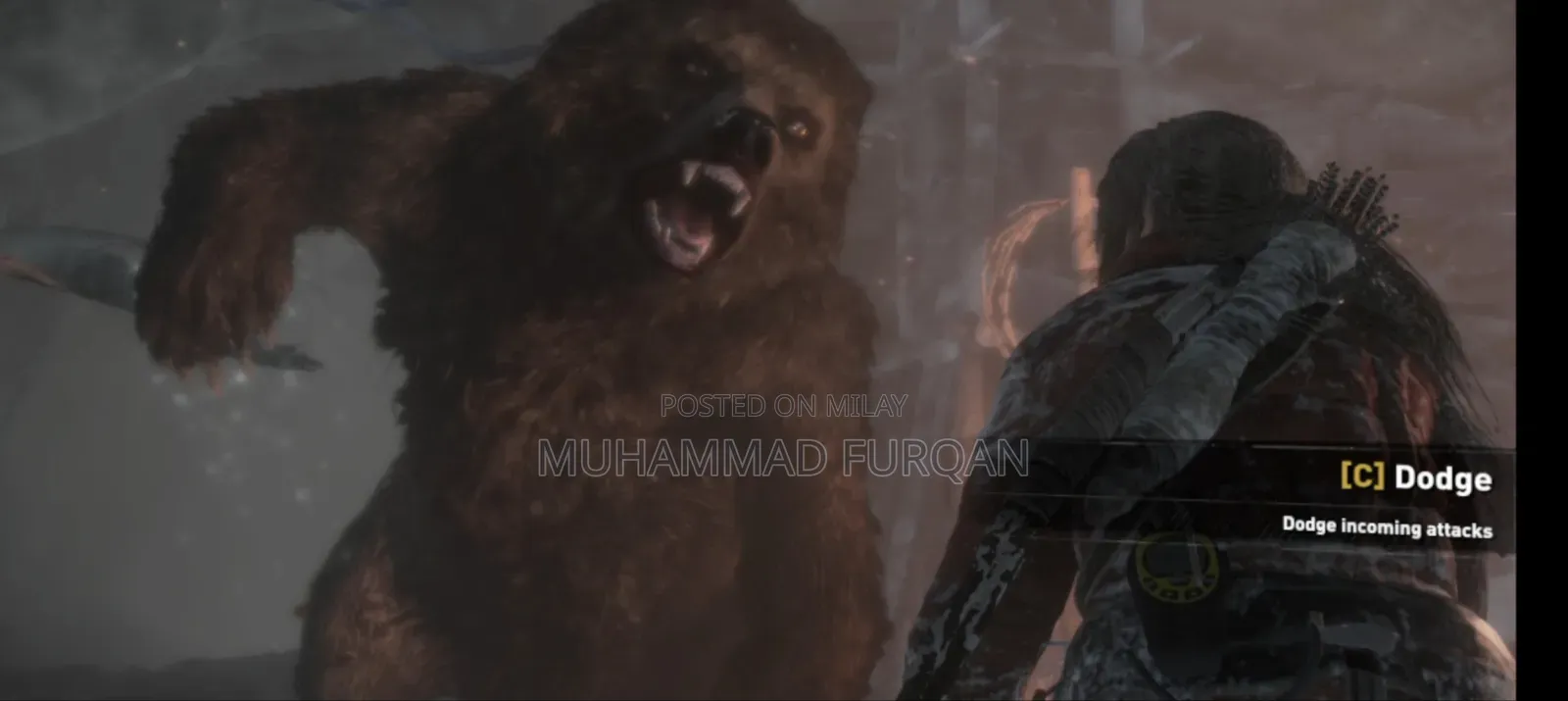 Rise of the Tomb Raiderpc,Laptop Game in Usb or Googledrive