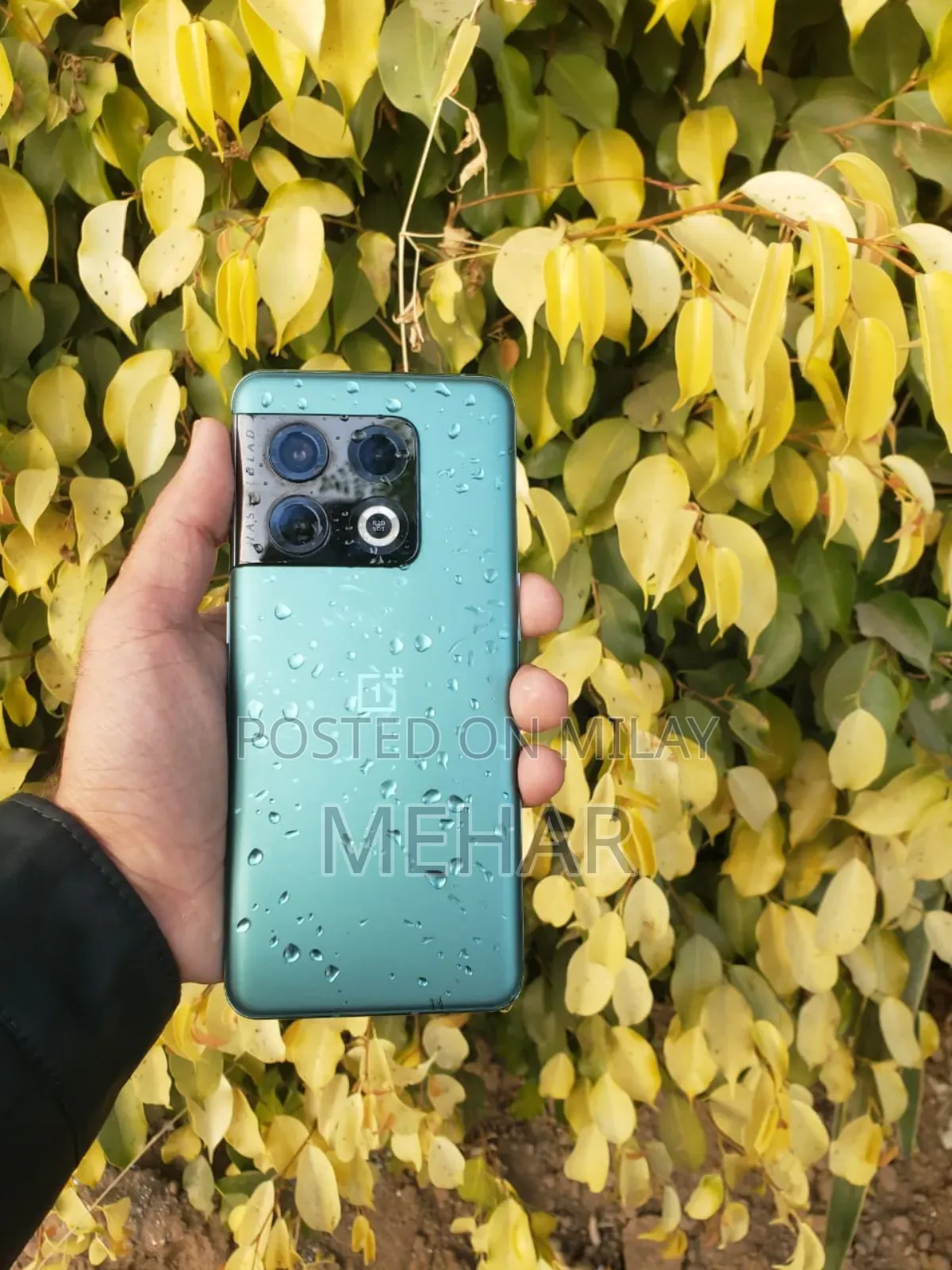 New OnePlus 10 Pro 256 GB Green