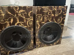 Photo - 15 Inc Woofer Speaker New