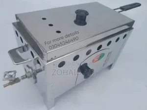 4 Litter Gas Fryer