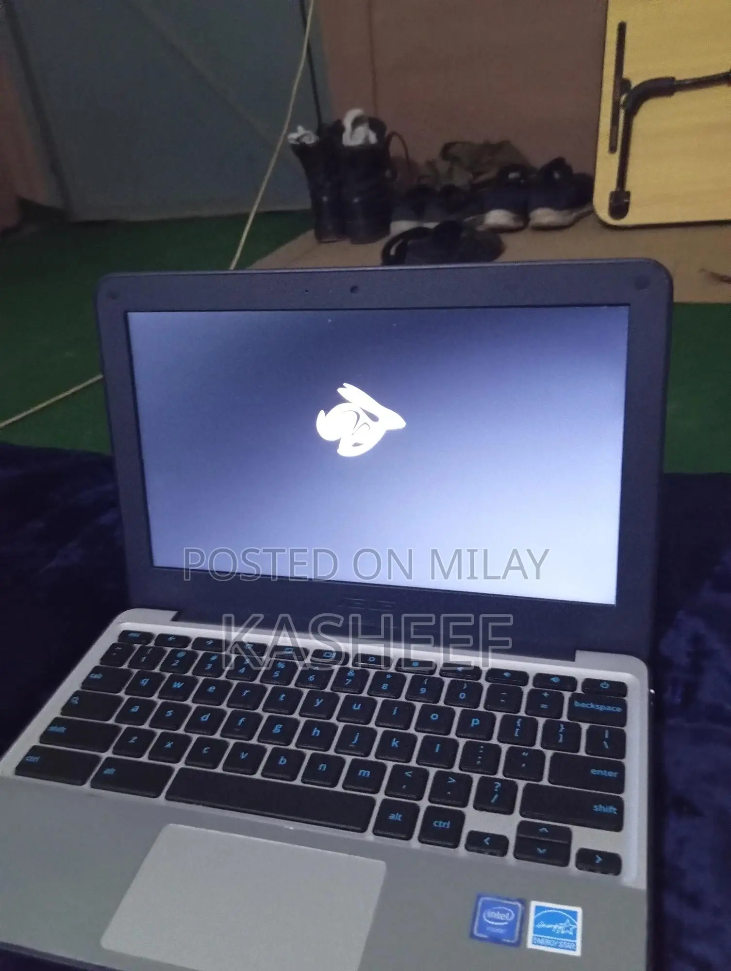 Laptop Asus Chromebook C202SA 4GB Intel Celeron eMMC 320GB