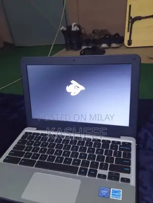 Laptop Asus Chromebook C202SA 4GB Intel Celeron eMMC 320GB