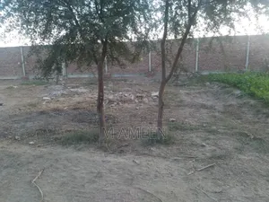 Photo - 5 Marla Plot for Sell