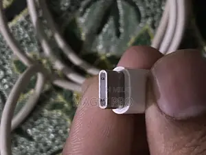 Apple Original Charger