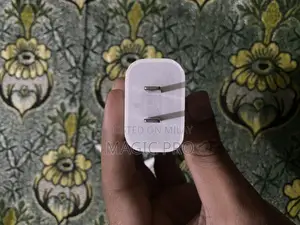 Apple Original Charger