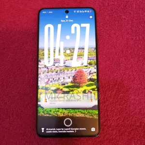 Vivo V60 512 GB Gold