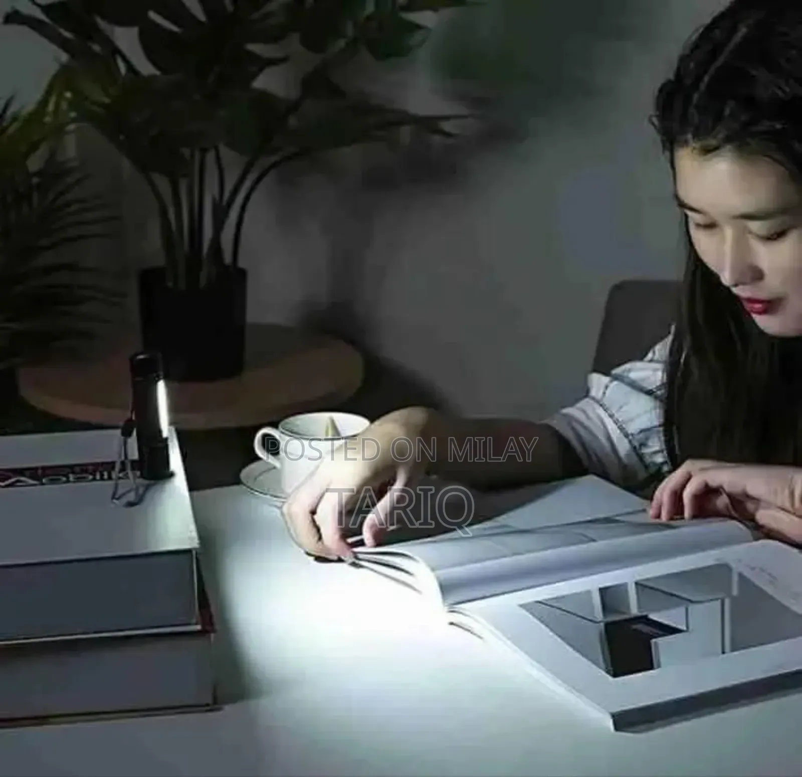 Mini Led Rechargeable Torch