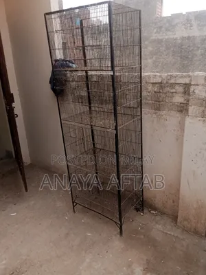 Parrots Cage