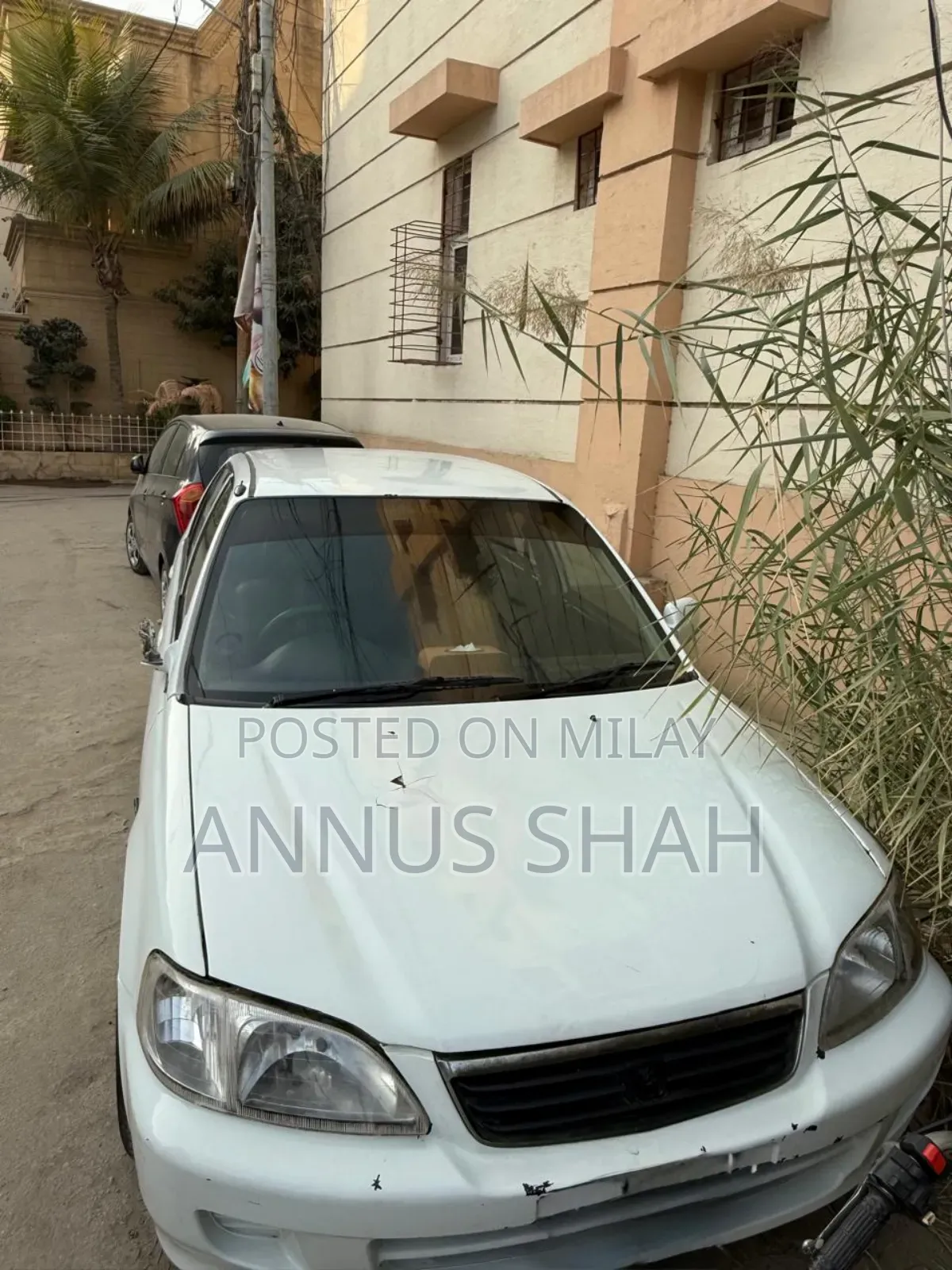 Honda City 2001 White