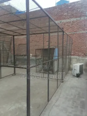 Big Master Cage for Sale