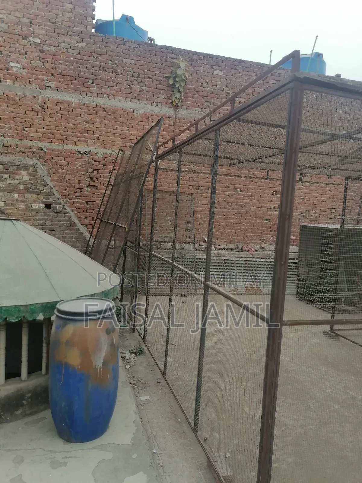 Big Master Cage for Sale