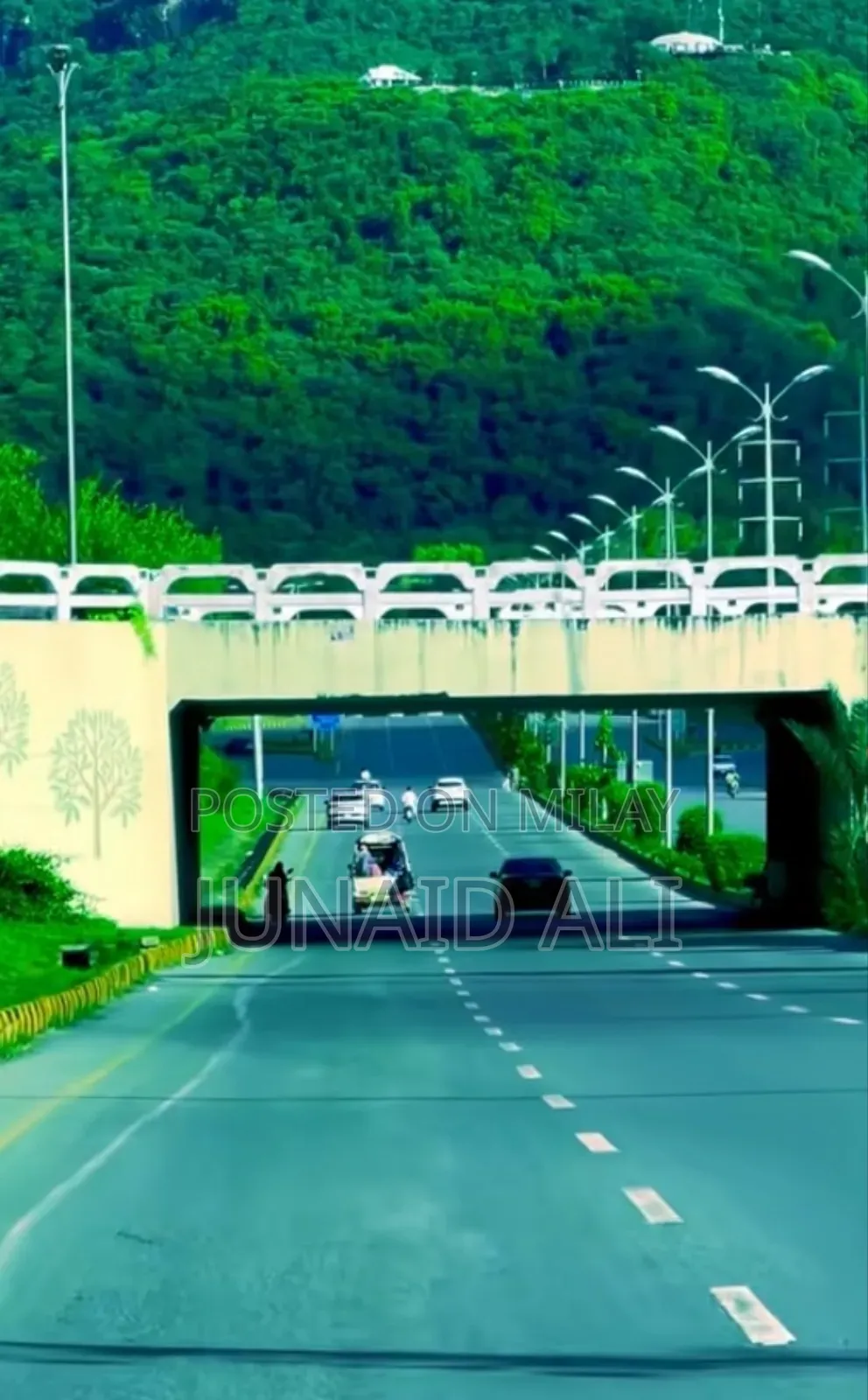 Only for Females at Your Place