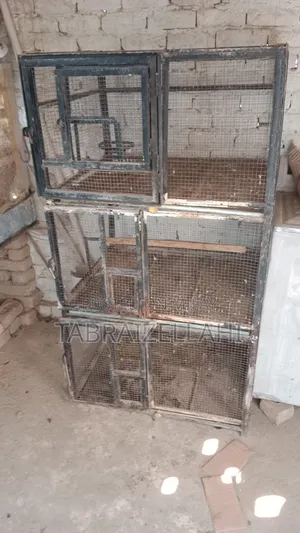 Parrot Cage