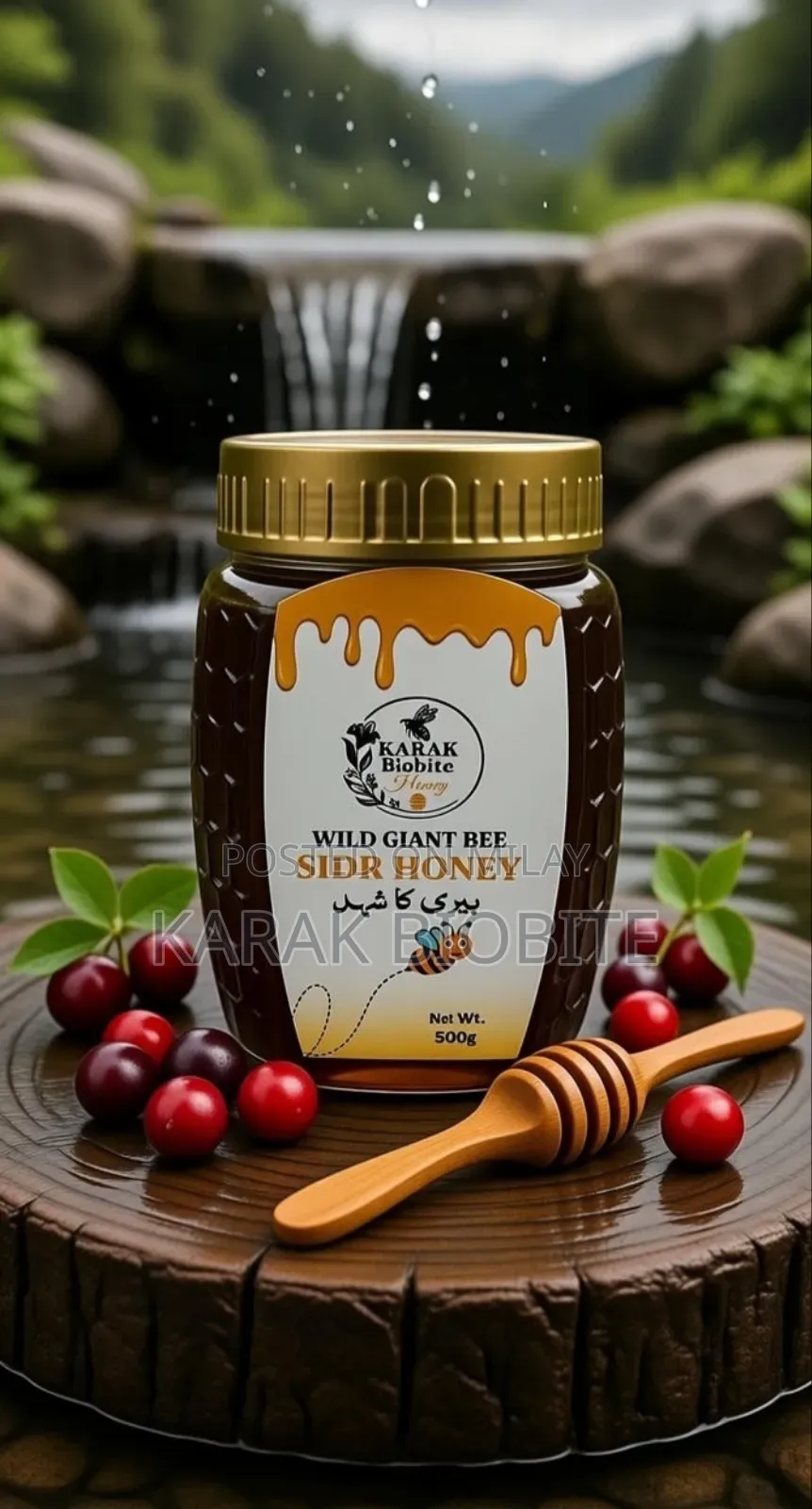 Organic Sidr - Beri Honey- کرک بیری کا خالص قدرتی شہد