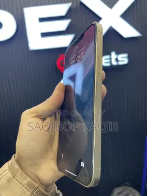 New Apple iPhone 13 Pro Max 128 GB Gold