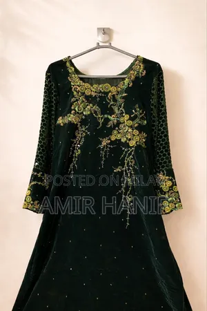 Elegant Green Velvet Embroidery Dress