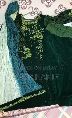 Elegant Green Velvet Embroidery Dress