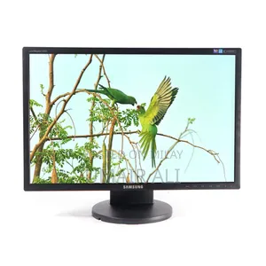 Samsung 22-Inch Widescreen LCD