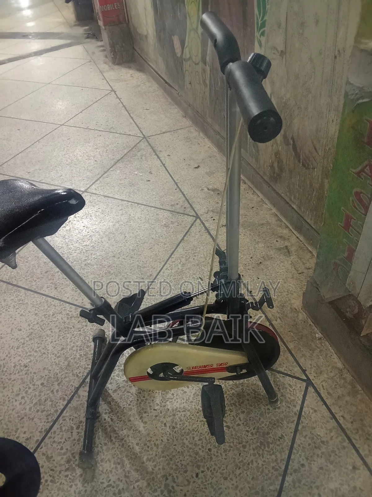 Exercise Cycle 2 in 1