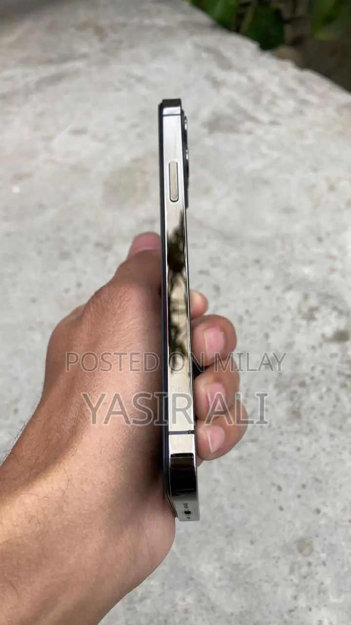 Apple iPhone 12 Pro 512 GB Gray