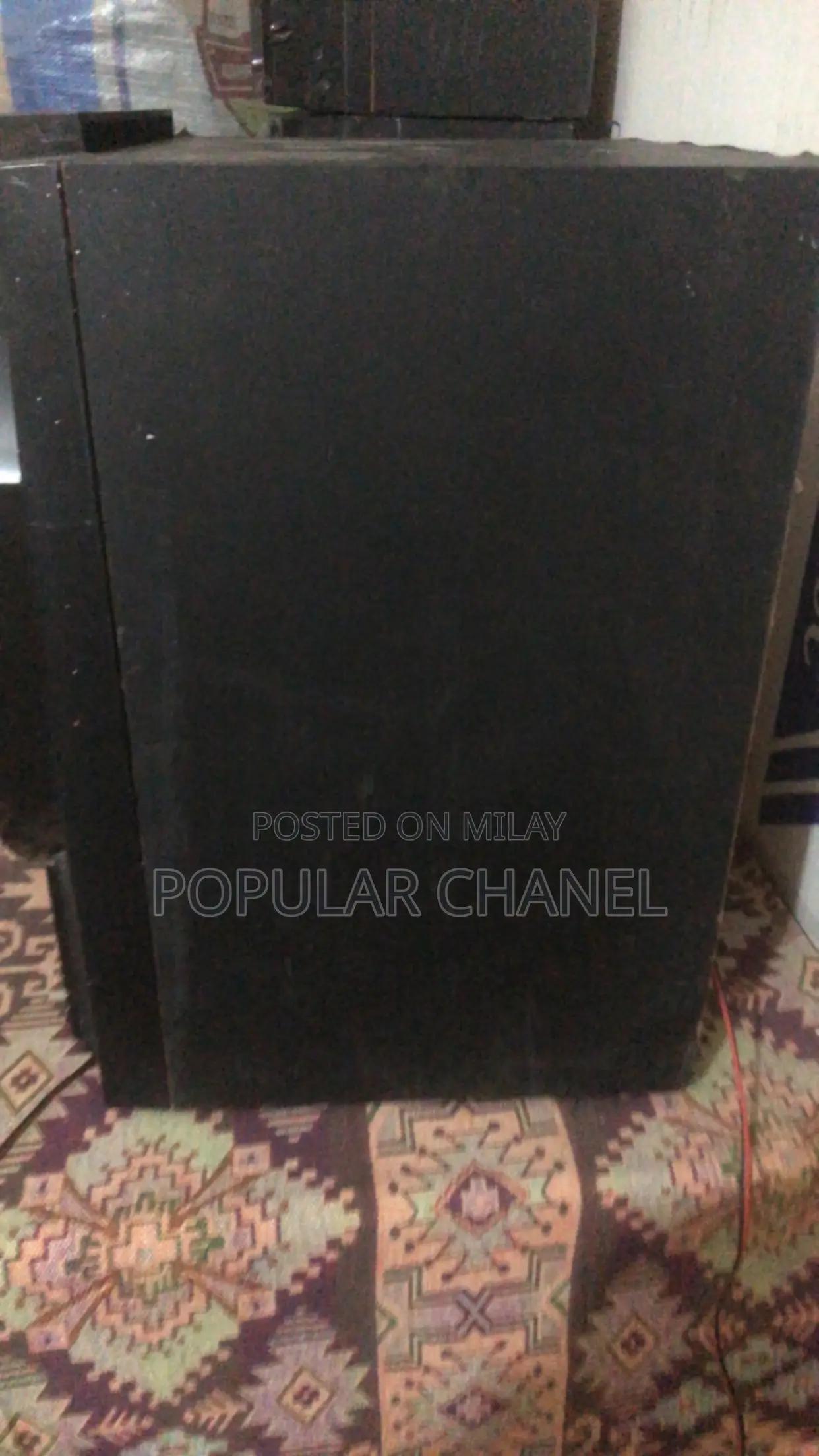 Panasonic 10 Inch Basr