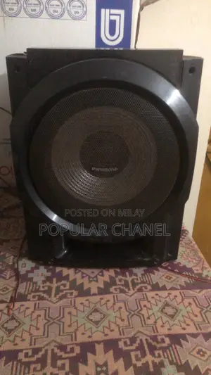 Panasonic 10 Inch Basr