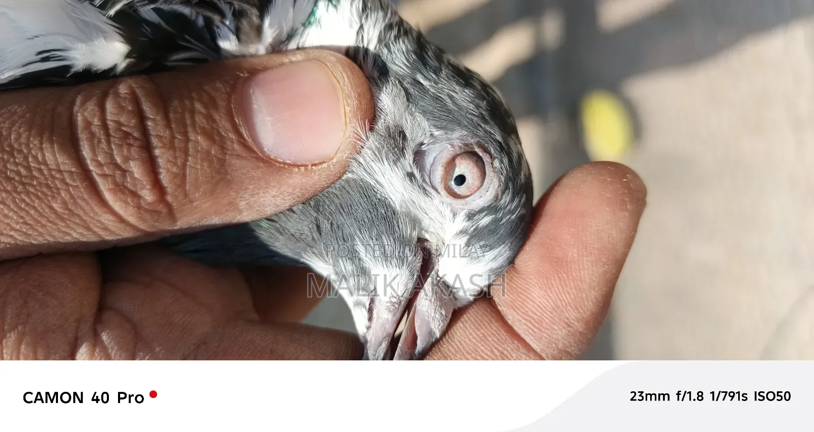 H13 Islamabd Cargo B Ho Jay Gy Js Bhai Na Dakh K La Jana Hy a Saktahy