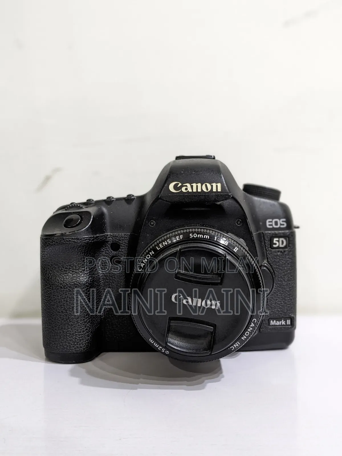 Canon 5d Mark Ii (Only Body)