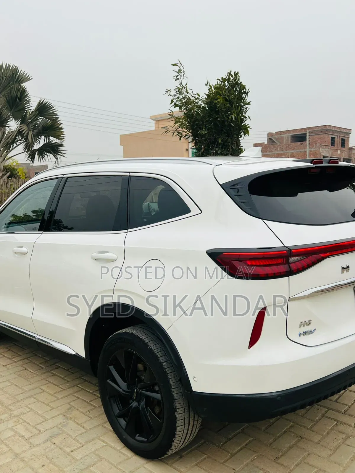 New Haval H6 2025 White