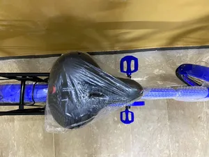 Bicycle 20 Inch Cycle Brand New