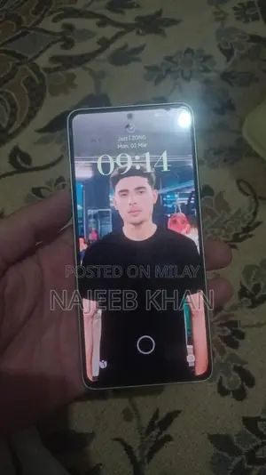 Xiaomi 13 Pro 256 GB Gray