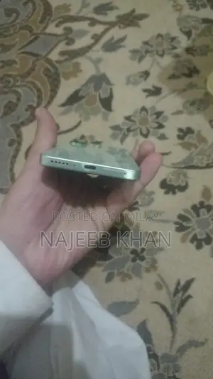 Xiaomi 13 Pro 256 GB Gray