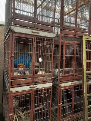 Photo - Parrot cages